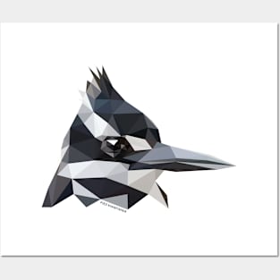 Pied Kingfisher Posters and Art